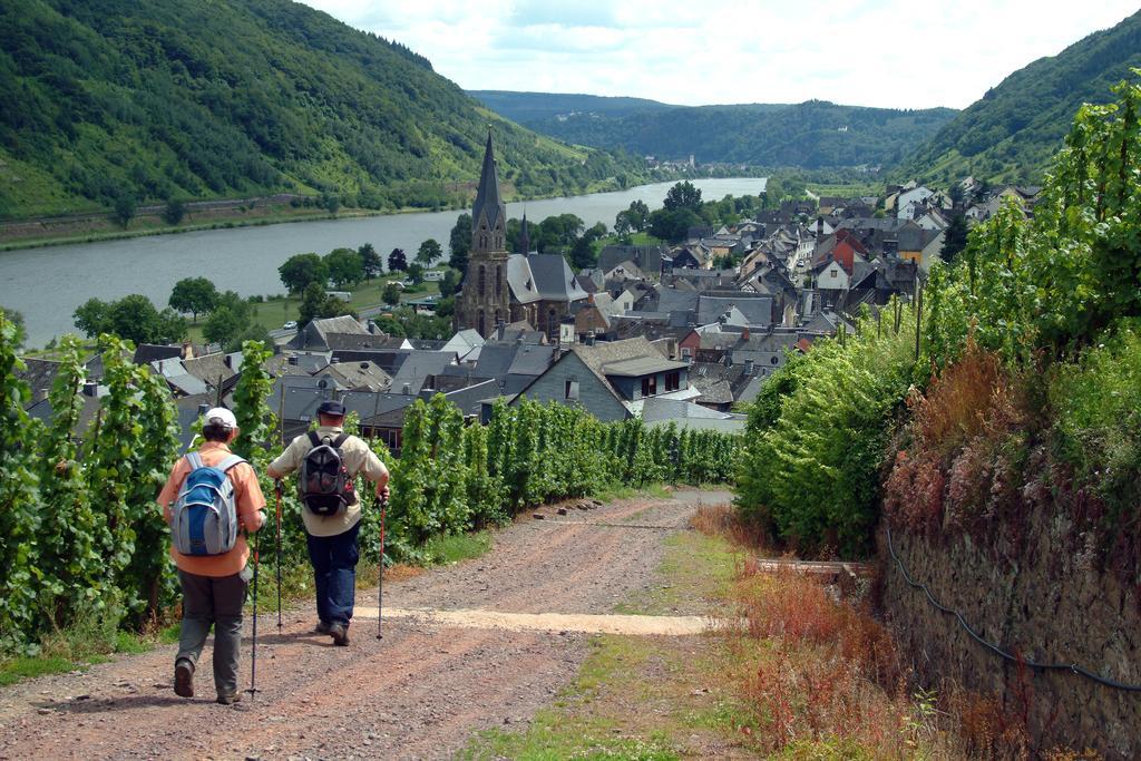 Wein- und Gästehaus St. Aldegundishof Sankt Aldegund Exterior foto