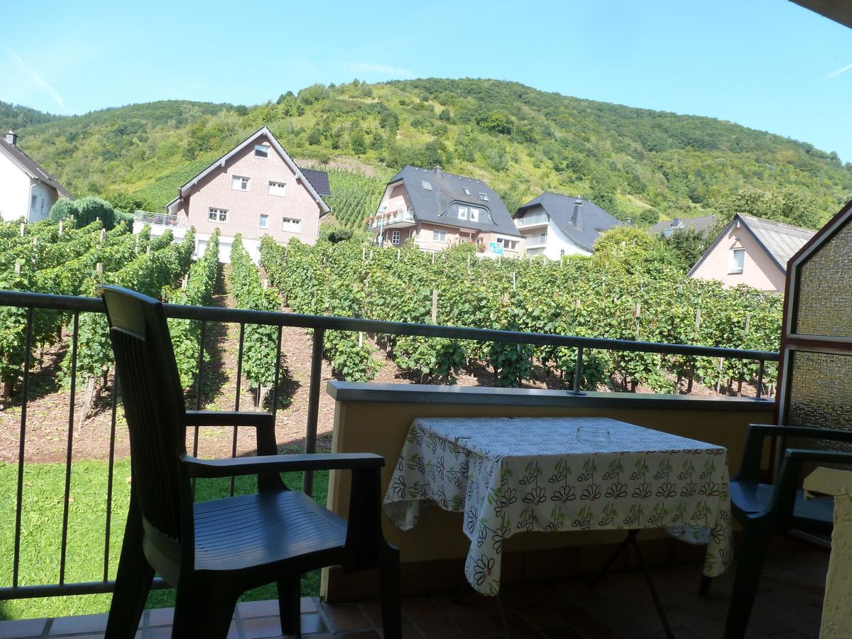Wein- und Gästehaus St. Aldegundishof Sankt Aldegund Exterior foto